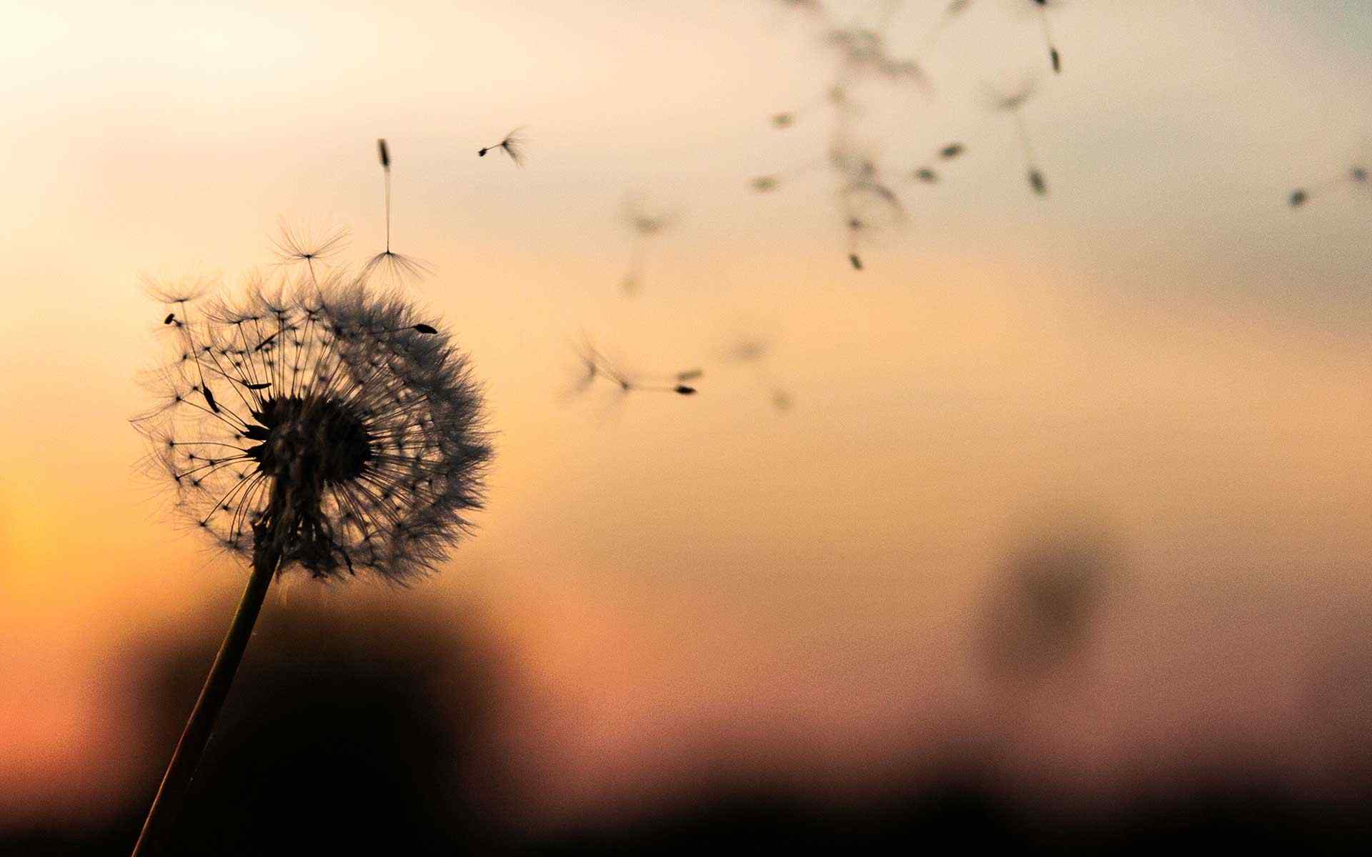 https://www.ayhanyilmaz.net/wp-content/uploads/2018/09/post_02.jpg